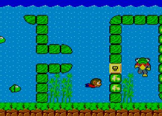 A screenshot from a very old videogame where a monkey is swimming towards a frog who is rolling his eyes