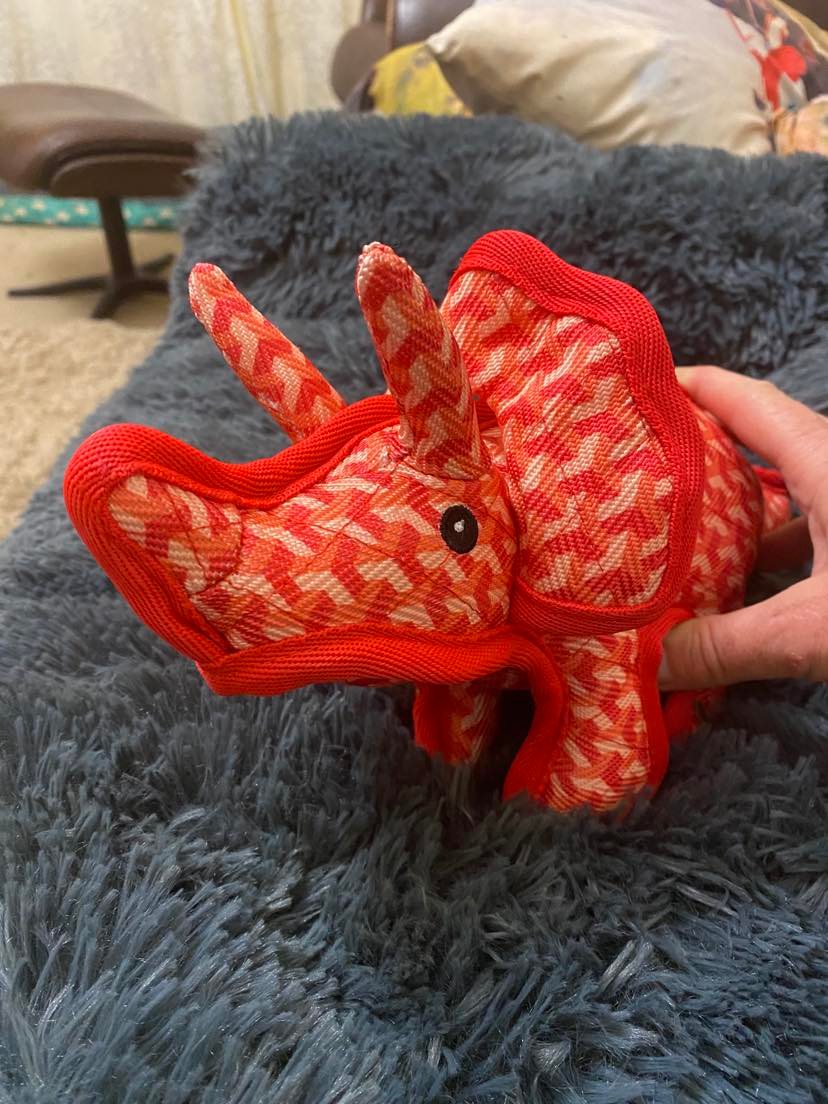 A stuffed toy triceratops with three inact horns